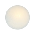 5906714784074_A4023.jpg