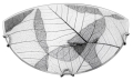 5906714778547.jpg