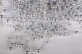 5906714884323_A1711.jpg