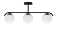 5903034835417.jpg