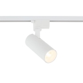 18179_TRACER_WHITE_CCT_10W_O.jpg