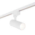 18179_TRACER_WHITE_CCT_10W_S.jpg