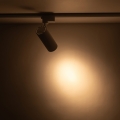 18180_TRACER_WHITE_CCT_20W_B3.jpg