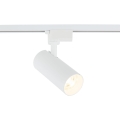 18180_TRACER_WHITE_CCT_20W_O.jpg
