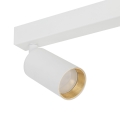 10795_AMIS_WHITE_D1.jpg
