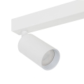10795_AMIS_WHITE_D2.jpg