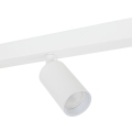 10797_AMIS_WHITE_D2.jpg
