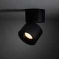 18163_SPARK_BLACK_CCT_10W_B2.jpg