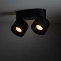 18164_SPARK_DUO_BLACK_CCT_20W_B.jpg