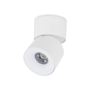 SPARK WHITE CCT 10W