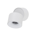 18168_SPARK_WHITE_CCT_10W_L.jpg