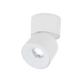 18168_SPARK_WHITE_CCT_10W_O1.jpg