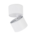 18168_SPARK_WHITE_CCT_10W_T.jpg