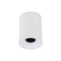 18168_SPARK_WHITE_CCT_10W_W.jpg
