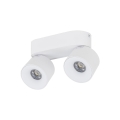 18171_SPARK_DUO_WHITE_CCT_20W_A.jpg