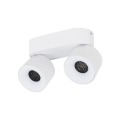 18171_SPARK_DUO_WHITE_CCT_20W_A1.jpg