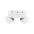 18171_SPARK_DUO_WHITE_CCT_20W_G.jpg