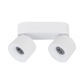 18171_SPARK_DUO_WHITE_CCT_20W_L.jpg