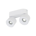 18171_SPARK_DUO_WHITE_CCT_20W_O.jpg