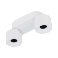 18171_SPARK_DUO_WHITE_CCT_20W_P.jpg