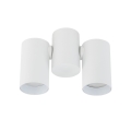 10975_AMIS_WHITE_W.jpg