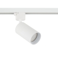 10647_TRACER_AMIS_WHITE_GOLD_L.jpg
