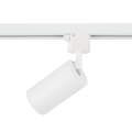 10647_TRACER_AMIS_WHITE_GOLD_T.jpg
