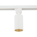 10647_TRACER_AMIS_WHITE_GOLD_W.jpg