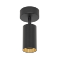 10793_AMIS_BLACK_W.jpg