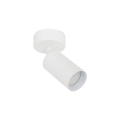 10794_AMIS_WHITE_L.jpg