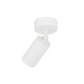 10794_AMIS_WHITE_T.jpg