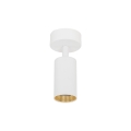 10794_AMIS_WHITE_W.jpg