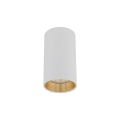 10719_AMIS_WHITE_A.jpg