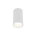 10719_AMIS_WHITE_O.jpg