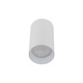10719_AMIS_WHITE_P.jpg