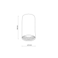10719_AMIS_WHITE_R.jpg