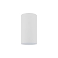 10719_AMIS_WHITE_W.jpg