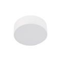 10983_LIVO_WHITE_P.jpg
