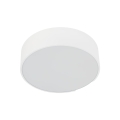 10985_LIVO_WHITE_P.jpg