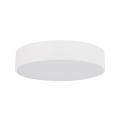 10987_LIVO_WHITE_A.jpg