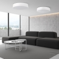 10987_LIVO_WHITE_B.jpg