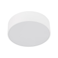 10987_LIVO_WHITE_P.jpg