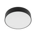 10988_LIVO_BLACK_P.jpg