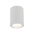 10932_LIGNO_WHITE_O.jpg
