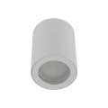 10932_LIGNO_WHITE_P.jpg