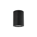 10933_LIGNO_BLACK_W.jpg