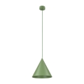 10886_CONO_PEAPOD_A.jpg