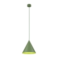 10886_CONO_PEAPOD_O.jpg