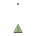 10887_CONO_PEAPOD_A.jpg