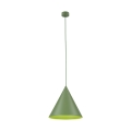 10887_CONO_PEAPOD_O.jpg